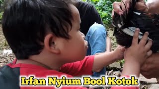 Download lagu Irfan Nyium Bool Kotok #budak #irfanlontong mp3