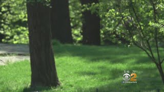 Spring Allergies Especially Bad This Year