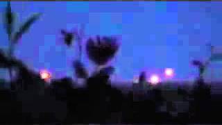 UFOs making Crop Circle Proof ♡