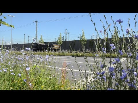 NaturGarten e.V. - Natural Public Green Spaces