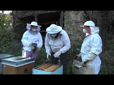 Boja meda ep. 211 22.03.2022. NAJAVA