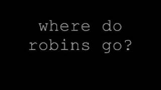 &quot;Now at last&quot; by Feist - From the album &quot;Let it Die&quot; (With Lyrics)