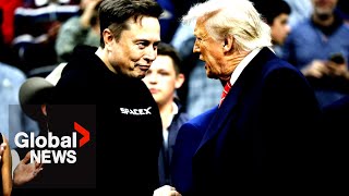 Trump-Musk feud doesn't surprise Americans: "2 rich men with 2 big egos"