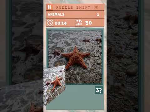 Puzzle Shift 3D video thumbnail