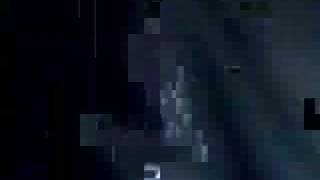 Martinho da Vila, Yvone Lara, 5 Bailes da História do Rio