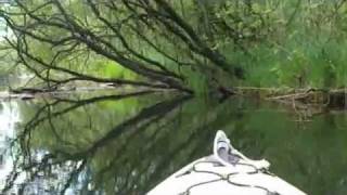 preview picture of video 'Kayaking on the River Crake 1'