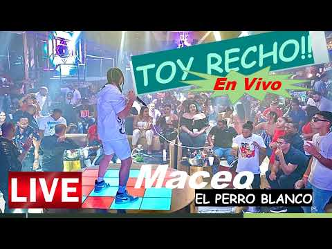 Toy Recho (en vivo) Maceo El Perro Blanco