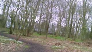 preview picture of video 'Bourne Woods (bar mounted camera test). April 2010.'