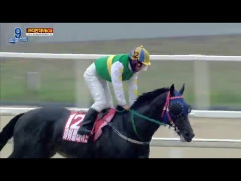 2016 Korean Derby -1800m (US$700,000)