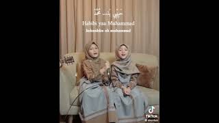 Download lagu Shalawat viral Yaman solayta bikulil anbiya mp3