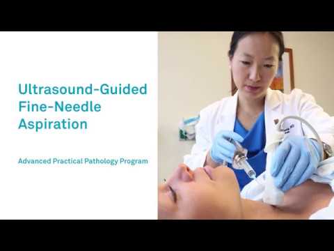Ultrasound-Guided Fine-Needle Aspiration Advanced Practical Pathology Program