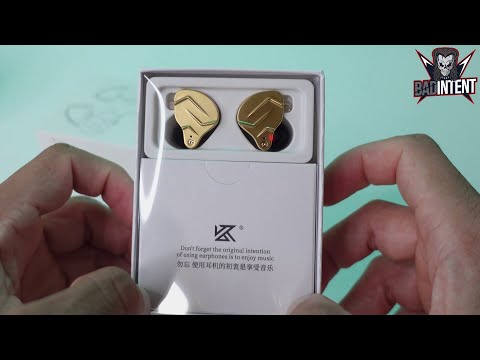 KZ ZSN Pro X Review