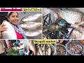 Ahmedabad Fish Market Big Size Hilsa Ilish Fish In Gujarat Teen Darwaza Vegetable Non Veg