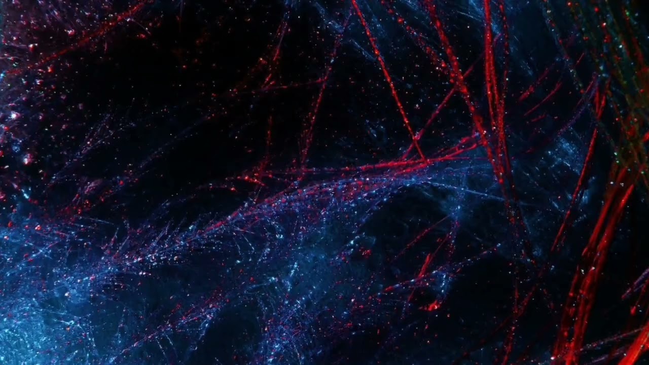 Johanna Diaz Prieto-20