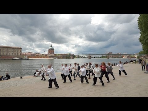 Flash Mob Toulouse