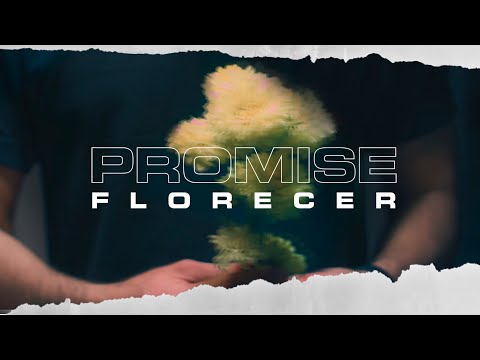Promise - Florecer (Video Oficial)