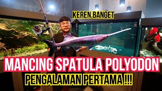 SENSASI MANCING IKAN PREDATOR PURBA!!! GAK NYANGKA SERU BANGET YA RESPONNYA