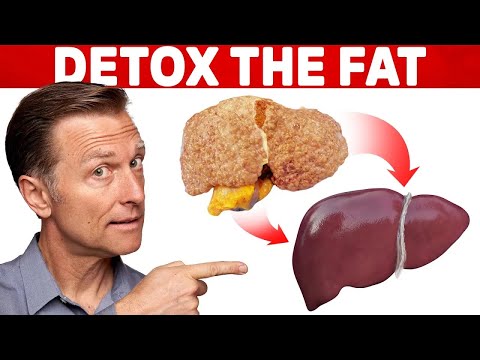 4 Critical Tips to Reverse a Fatty Liver – Dr Berg