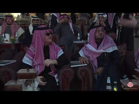 N.256 D MAHBOOB - 2020 PSAIAHF Al Khalediah Show - Stallions 4-6 Years Old (Class 10A)