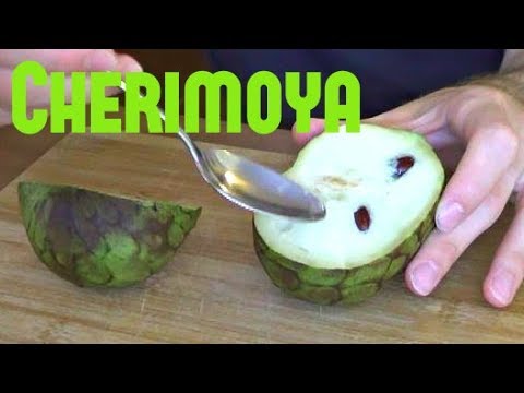Cherimoya Review - Weird Fruit Explorer : Episode 26