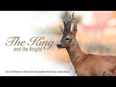 THE KIND AND THE KNIGHT PT. 1