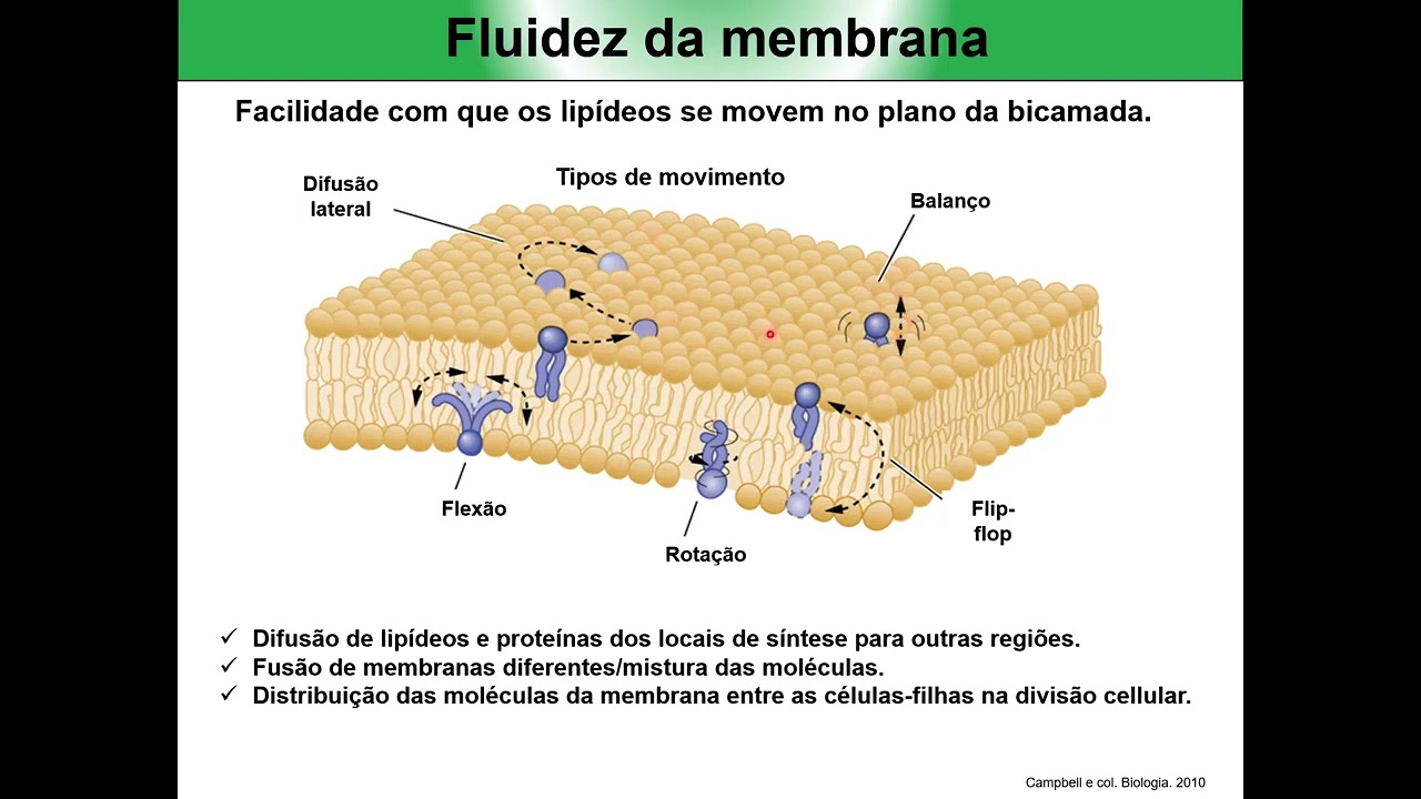 Membrana celular Parte I 2022 1
