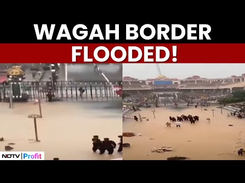 Watch: Pak's Wagah Border Gets Flooded Due To Massive Rains | Wagah Border News