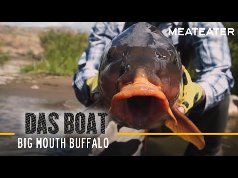 Big Mouth Buffalo w/ Ryan Callaghan & Miles Nolte | S2E05 | Das Boat