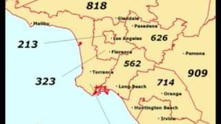 that dog. "Westside Angst"