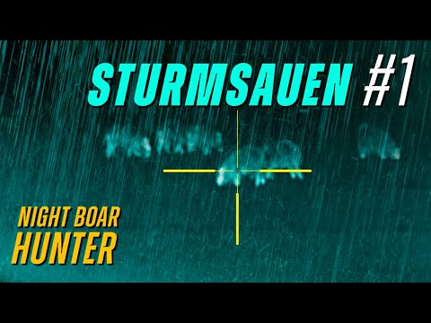 Sauen | Pirschen im Sturm 1.0 Wildschweinjagd bei Sauwetter und Regen - Night Boar Hunter