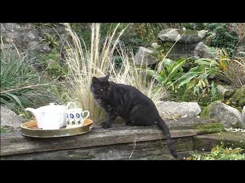 Morning Prayer –Sunday, 7th November 2021