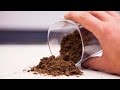 What is Peat Moss? I Pros and Cons What is Peat Moss? I Pros and Cons