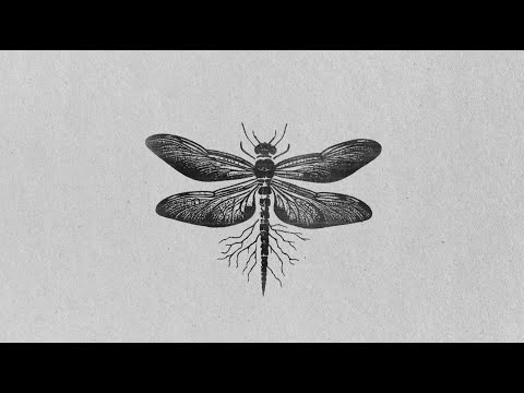 Lemot - Tu Jardín Japonés (Audio Oficial)