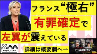 7.11 フランス革命準備完了! ”極右”の有罪確定が左翼「を」震えさせている