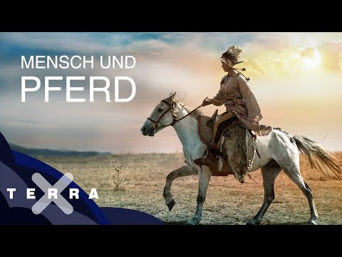 , title : 'Die ersten Reiter der Geschichte | Terra X'