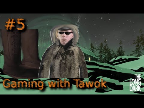 the long dark wolfskin coat
