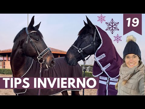 , title : 'TIPS para el invierno ❄️ con nuestros caballos 🐴- ARESTINES, MANTAS, ESQUILAR...'