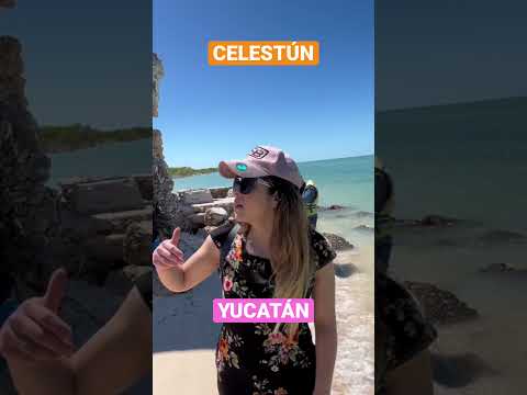 Celestún como no lo habías visto! #travel #vacaciones #yucatán #beach #playa