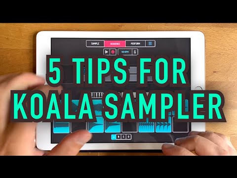 5 Tips for Koala Sampler