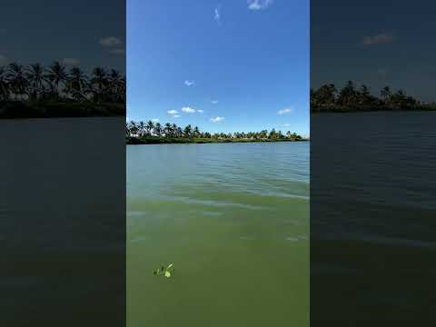 Rio São Francisco travessia Sergipe para Alagoas.