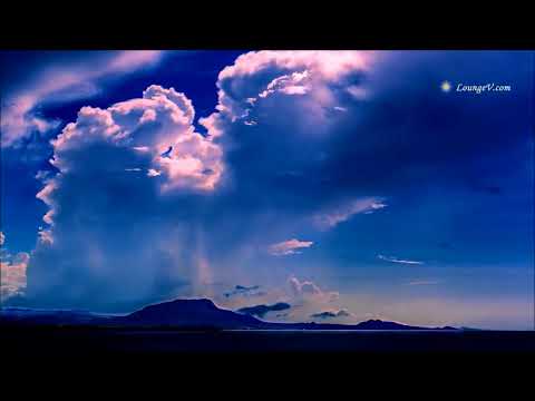 Cold Insight - Stillness Days