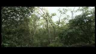 Ulisse - Australia, il continente delle sfide