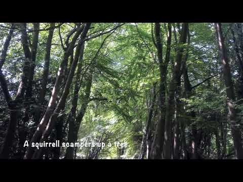 Woodland Folk Song by Alison Mathews