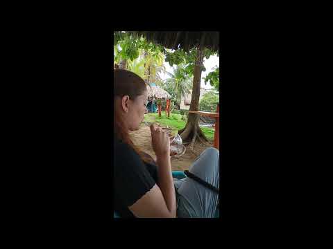 Restaurante y Hospedaje Punta Palmeras - Necoclí Antioquia.