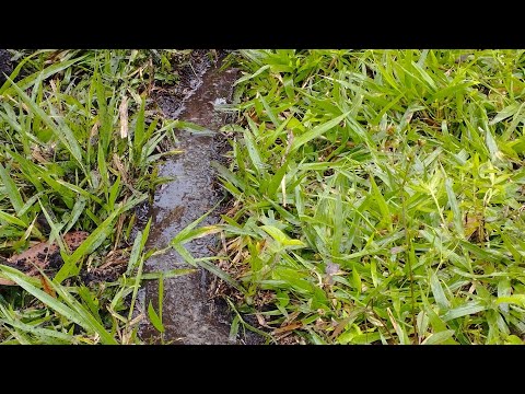 Como proteger y conservar los suelos - Anolaima cundinamarca 