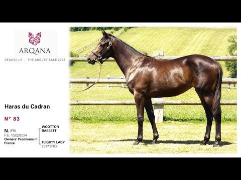 Arqana August sale 2025 - N°83, F. / Wootton Bassett, présentée par le Haras Du Cadran