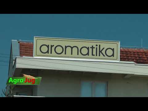 Radiša Nikolić Aromatika: Saveti za proizvođače vina