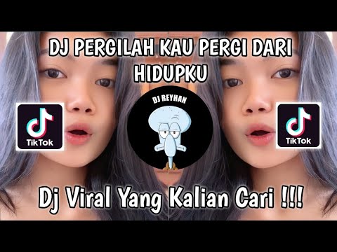 DJ PERGILAH KAU PERGI DARI HIDUPKU BY SAHRIEL LINKLONK VIRAL TIK TOK TERBARU YANG KALIAN CARI!