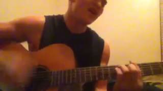 Meow! Meow! Space Tiger- The Rx Bandits- Acoustic cover