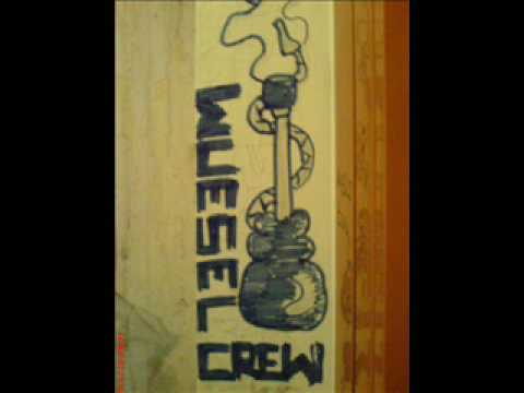 Polski Ham - reprezentuje was